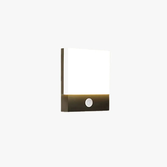 Rectangular Energy Efficient Outdoor Wall Light